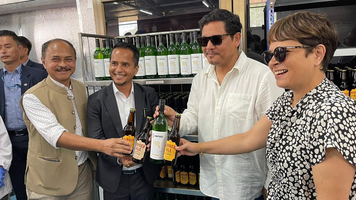 Meghalaya to promote fruit wine industry The Hindu